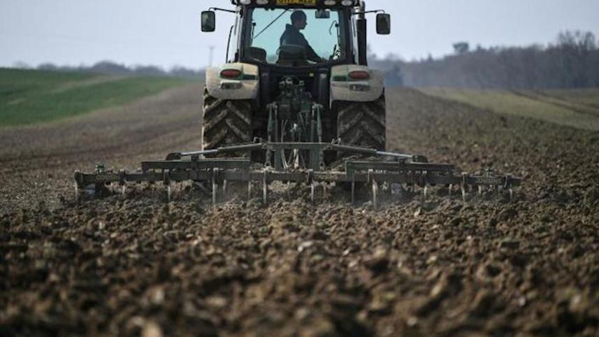 ukraine-war-sows.jpg