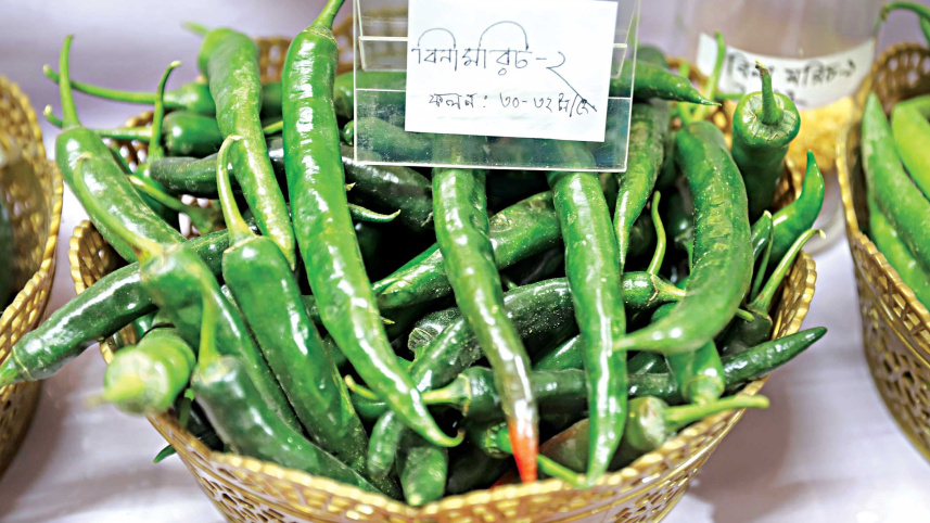 vegetable-fair-3.jpg