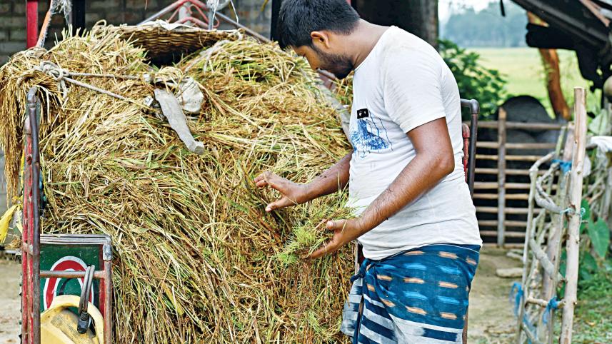 farmers-2.jpg