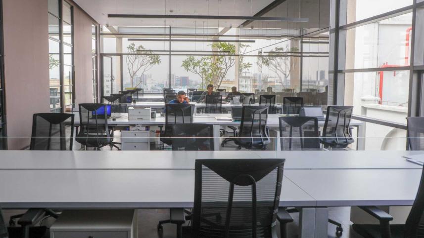 green-tree1.jpg