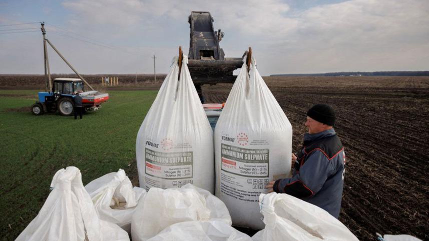 World Bank Forecast