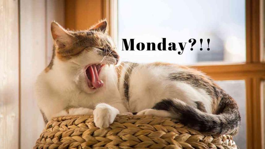 Beating your Monday blues