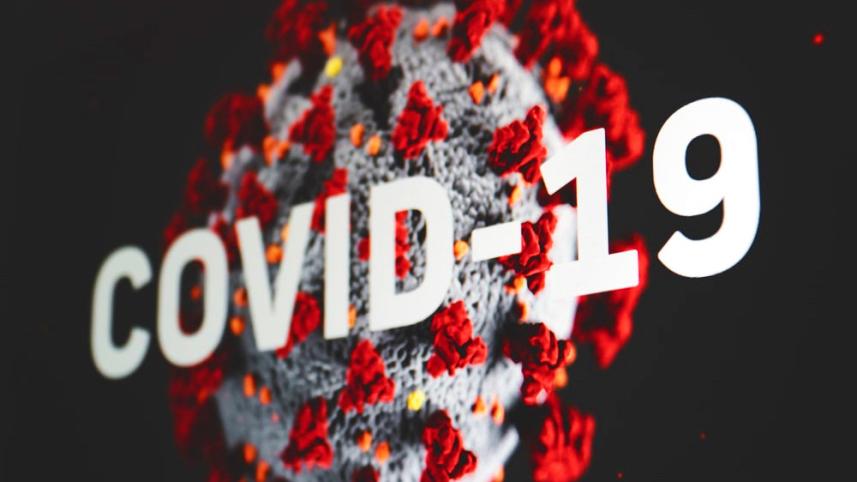 Covid-19 death in 24 hours