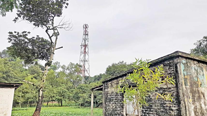 tower.jpg