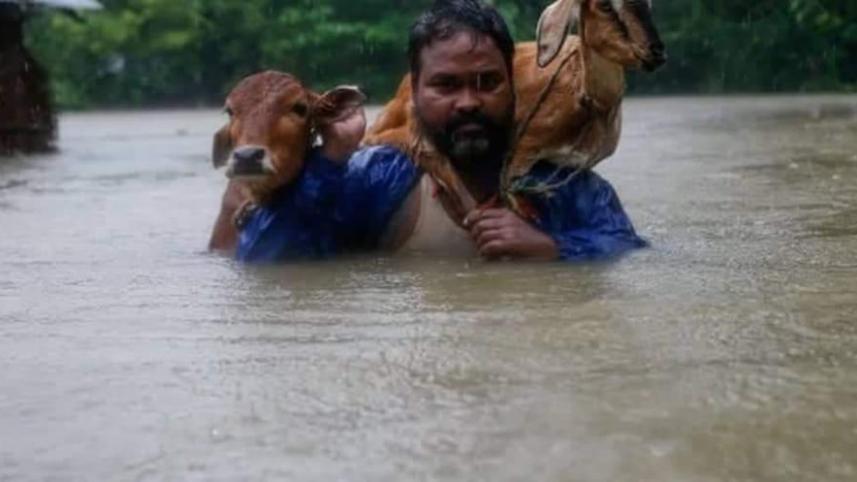Every life matters at Animal Rescuers Bangladesh