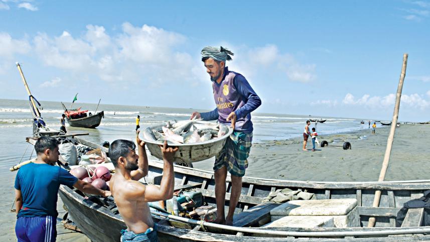 hilsa-1.jpg