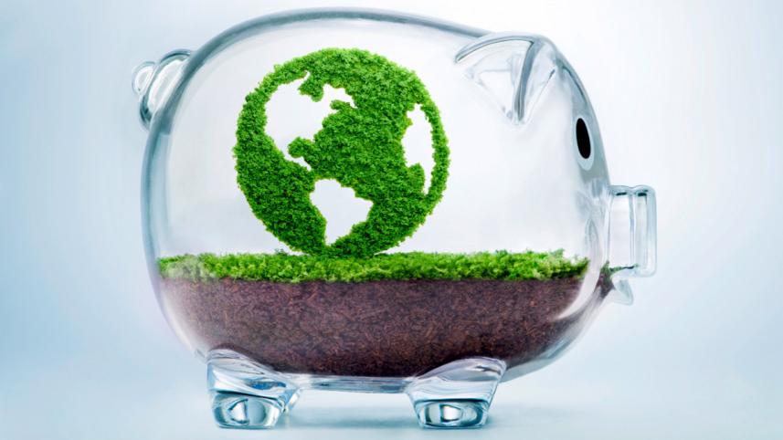What local NGOs must do to secure climate funding