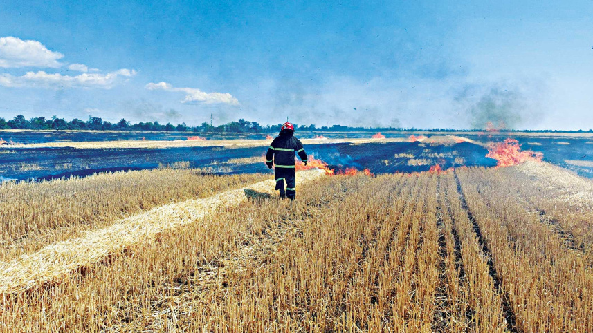ukraine.jpg