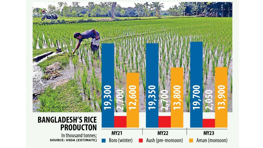 rice-chart.jpg