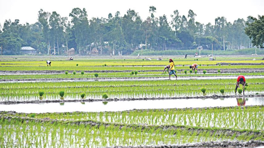 sherpur-upazila.jpg