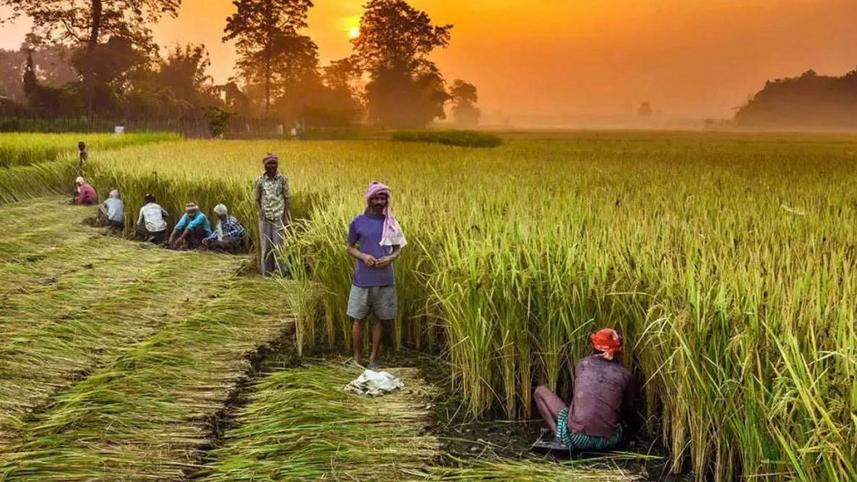 agri-subsidy-should.jpg