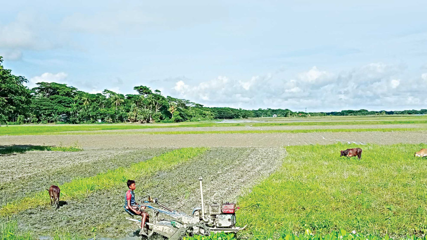 patuakhali.jpg