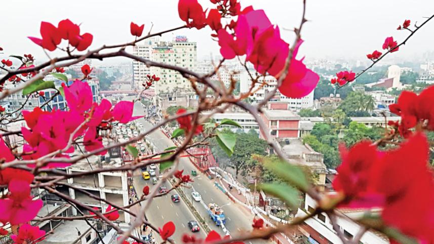 Dhaka air quality