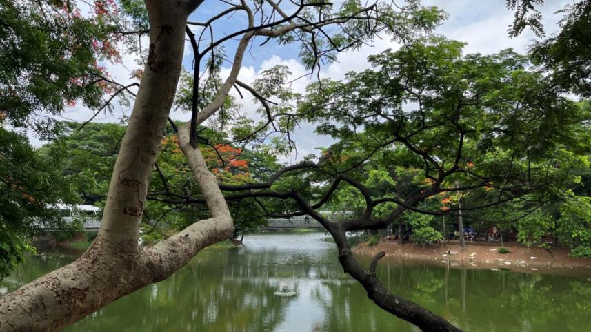Dhanmondi Lake
