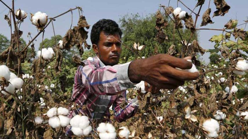 Bangladesh's cotton consumption