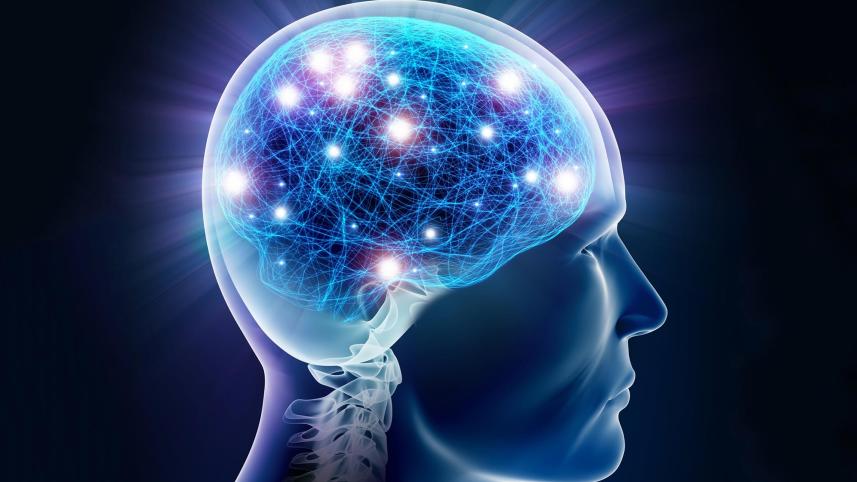 How to improve brain function?