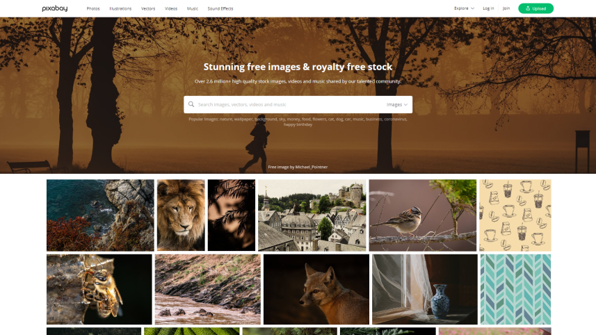 pixabay.png