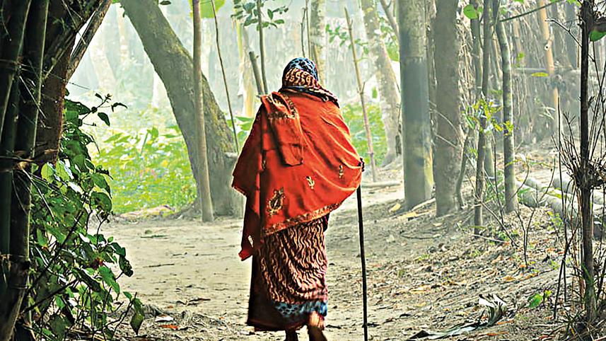sonabhan-bibi-1.jpg