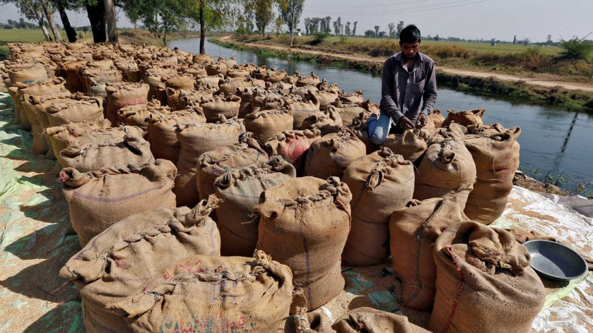 indias-rice-exports-set-.jpg