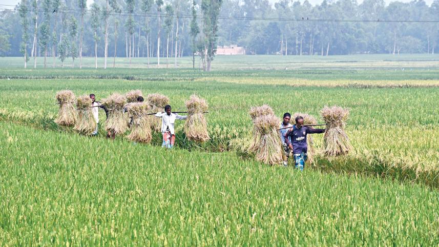 northern-districts-of-bangladesh-1.jpg