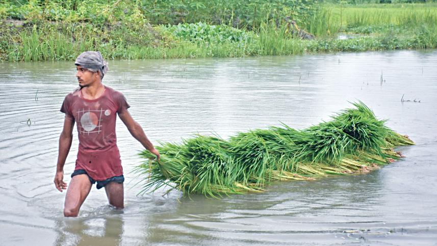 northern-districts-of-bangladesh-2.jpg