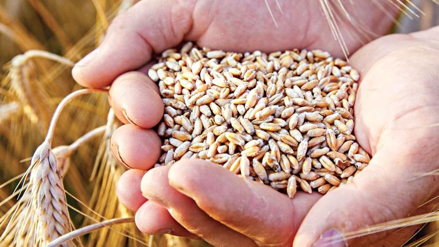 food-security-summit.jpg