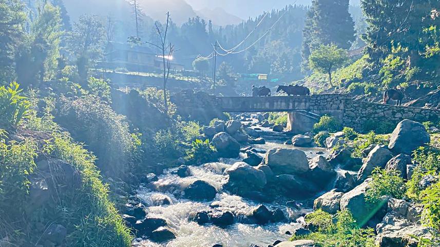 kashmir5.jpg