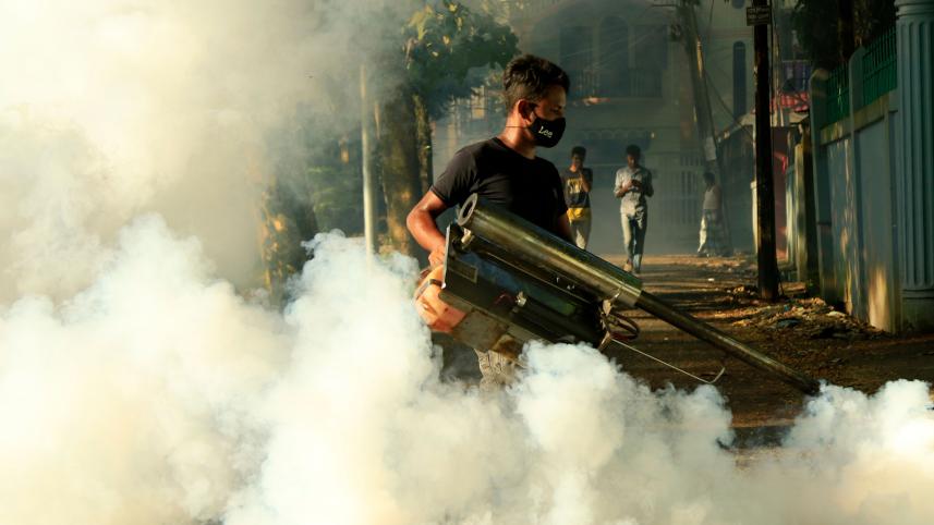 dengue-2.jpg