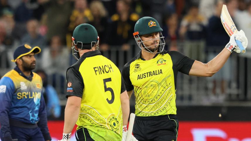stoinis.jpg