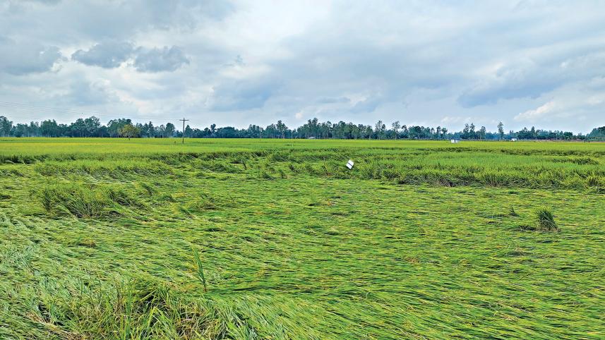 Cyclone Sitrang