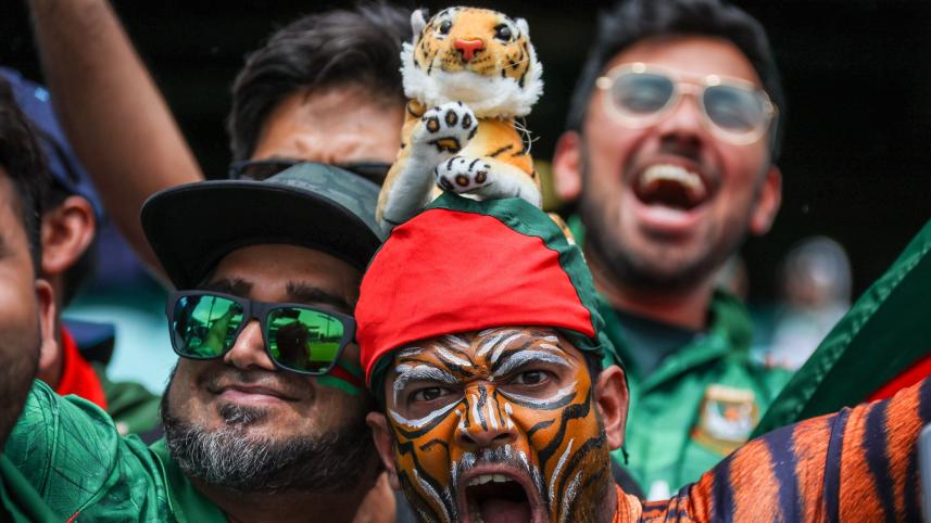 tigers_fans.jpg