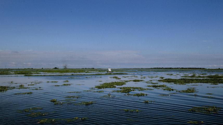 Scenic photo of a haor
