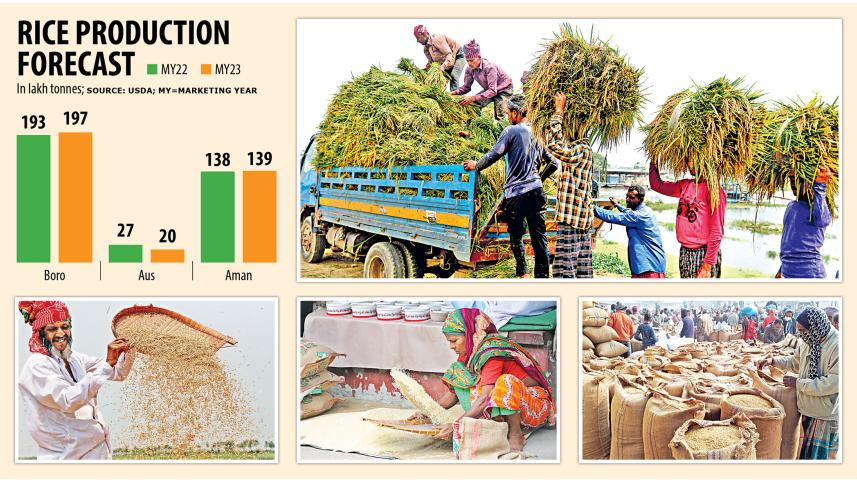 rice-production.jpg