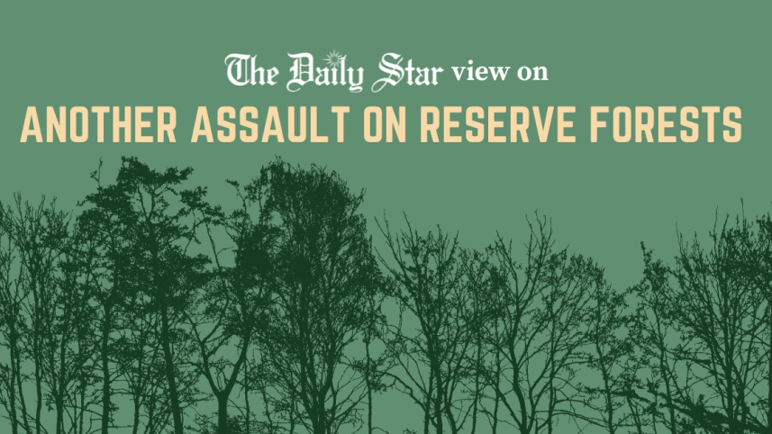 editorial_image_2.png