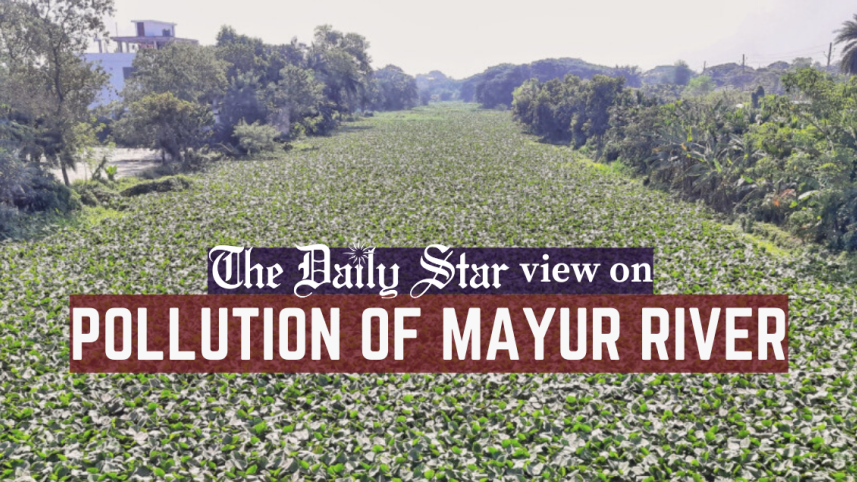 pollution_of_mayur_river.png