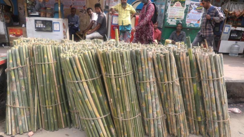 bamboo sticks