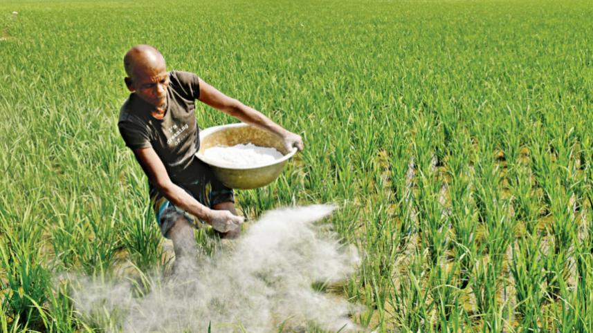 Gov import urea fertilizer