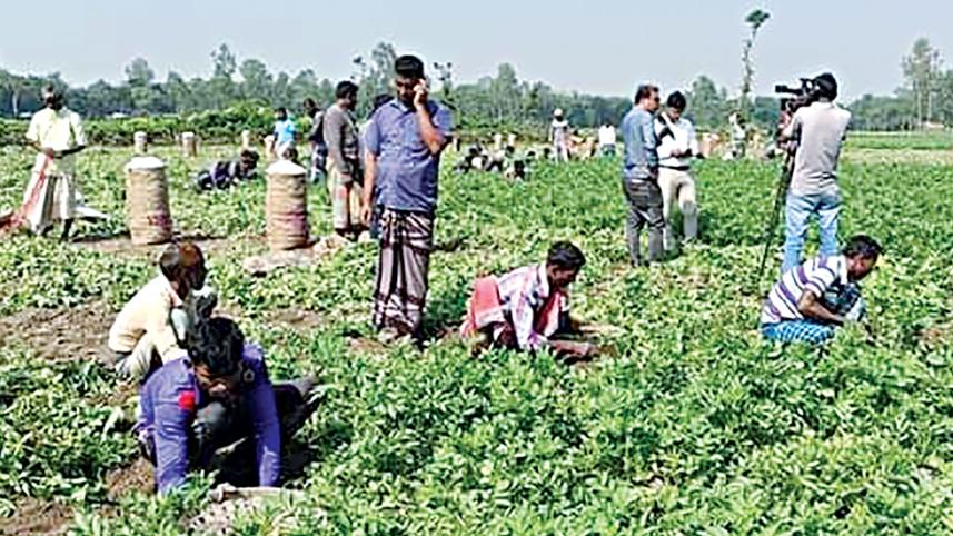 fresh-potato-prices.jpg
