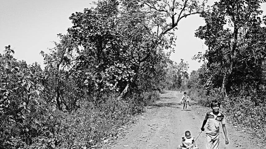 bengal4.jpg