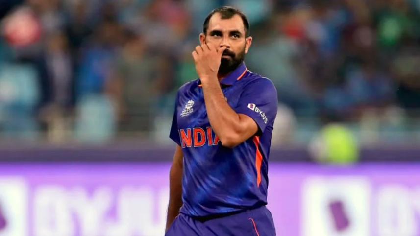shami.jpg