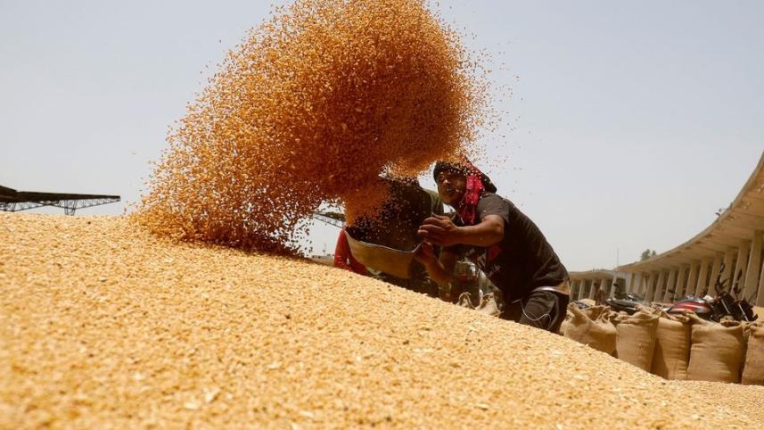 Rice, wheat and maize prices