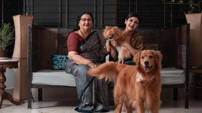 My heart cries for street animals affected by fireworks: Jaya Ahsan  