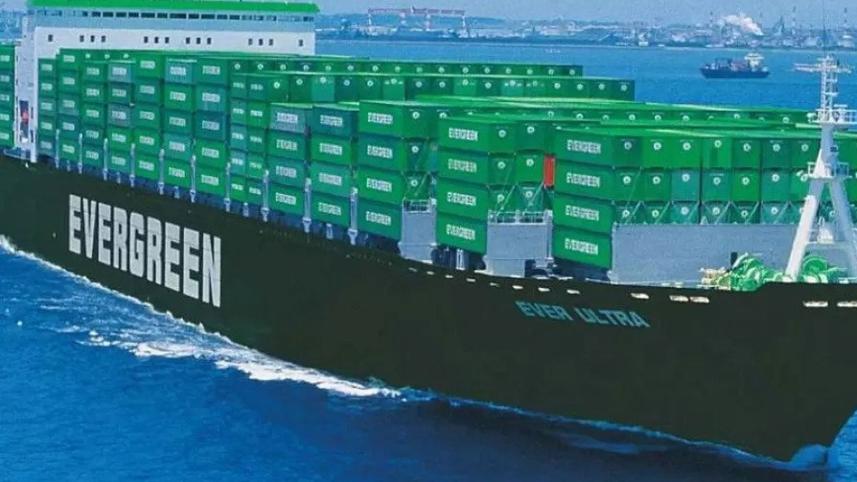 taiwans-evergreen.jpg