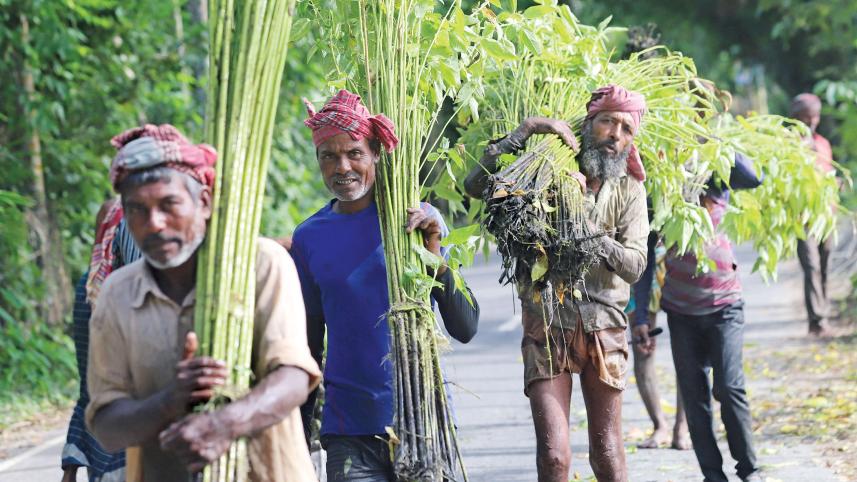 condition withdrawn from raw jute export 