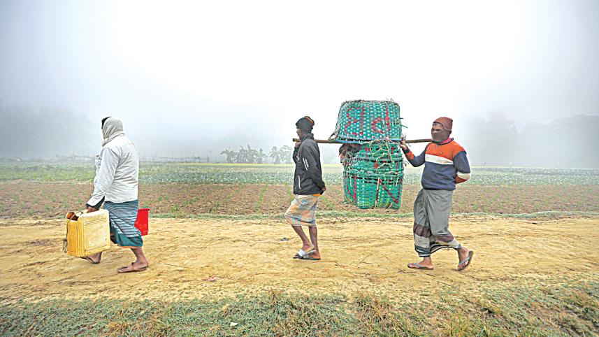 bounties-8.jpg