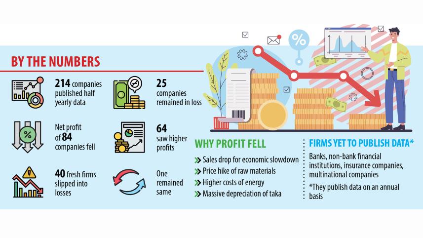 Listed Companies in Bangladesh Report Financial Decline