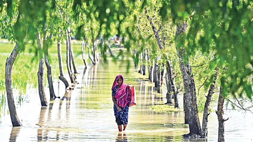 bangladeshs-key-role1.jpg