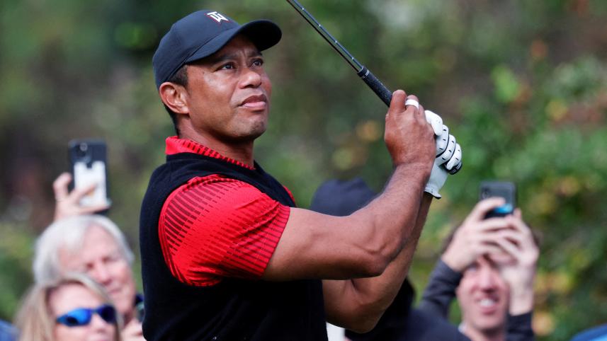 tiger_woods_.jpg