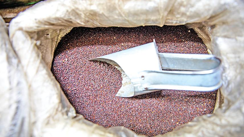 spice2.jpg