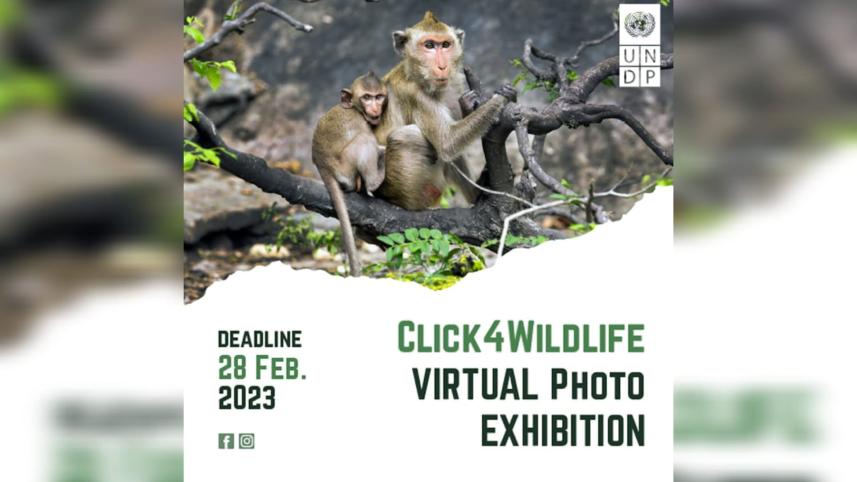 wildlife.jpg